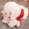 Toys For Small Dogs Funny Simulation Bite Resistant Squeaky  Chew Dogs Toys