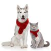 Dog knit Christmas scarf Creative teddy dog scarf